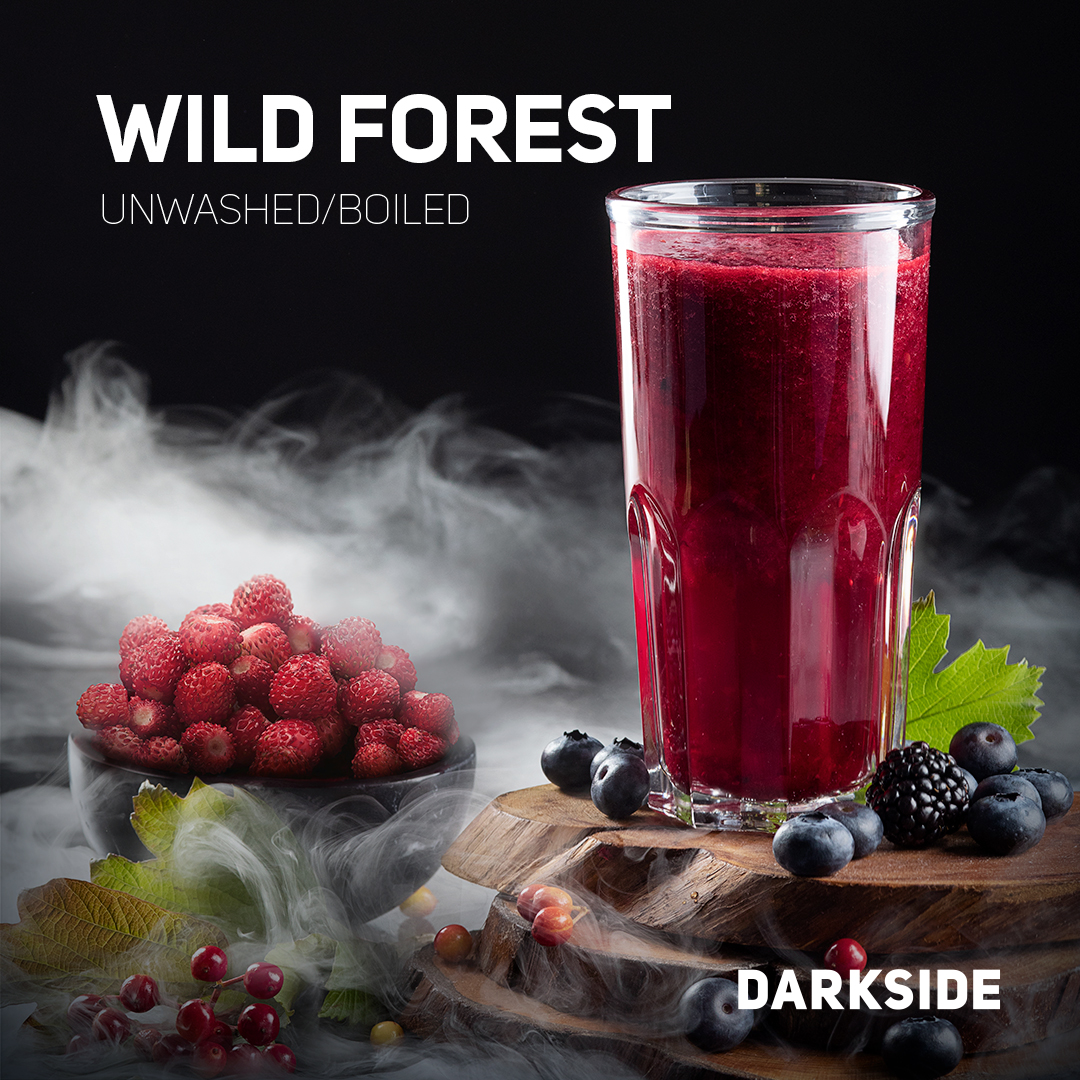 WILD FOREST | CORE | Darkside